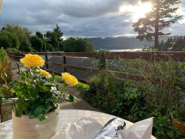 The Lady Of The Lake Windermere Appartement Buitenkant foto